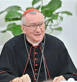Il cardinale Pietro Parolin (Ansa/Alessandro Di Meo)